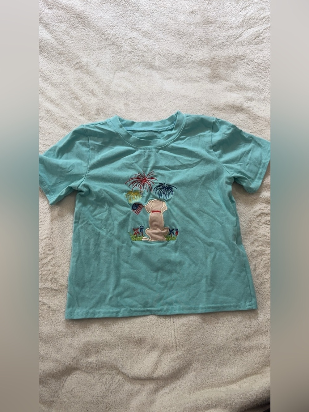 Patriotic Dog with Fireworks Shirt